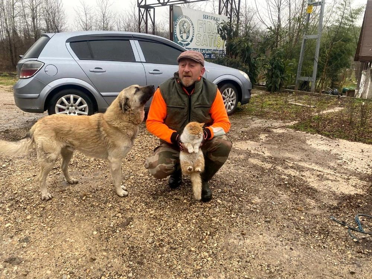 Kedi ile köpeğin şaşırtan dostluğu