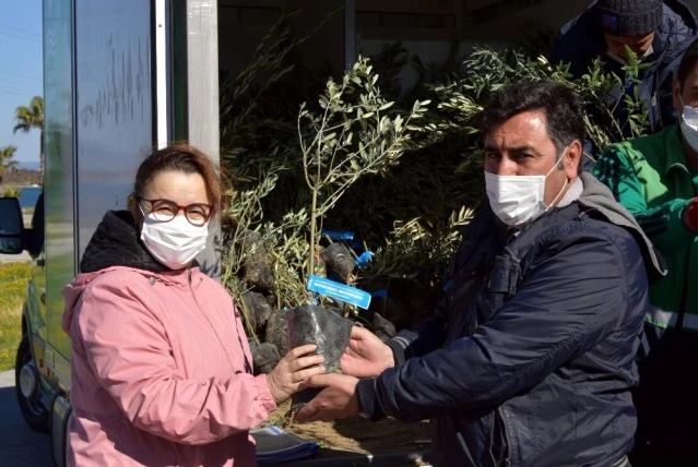 Aliağa Belediyesinin üreticiye destek projesi sürüyor