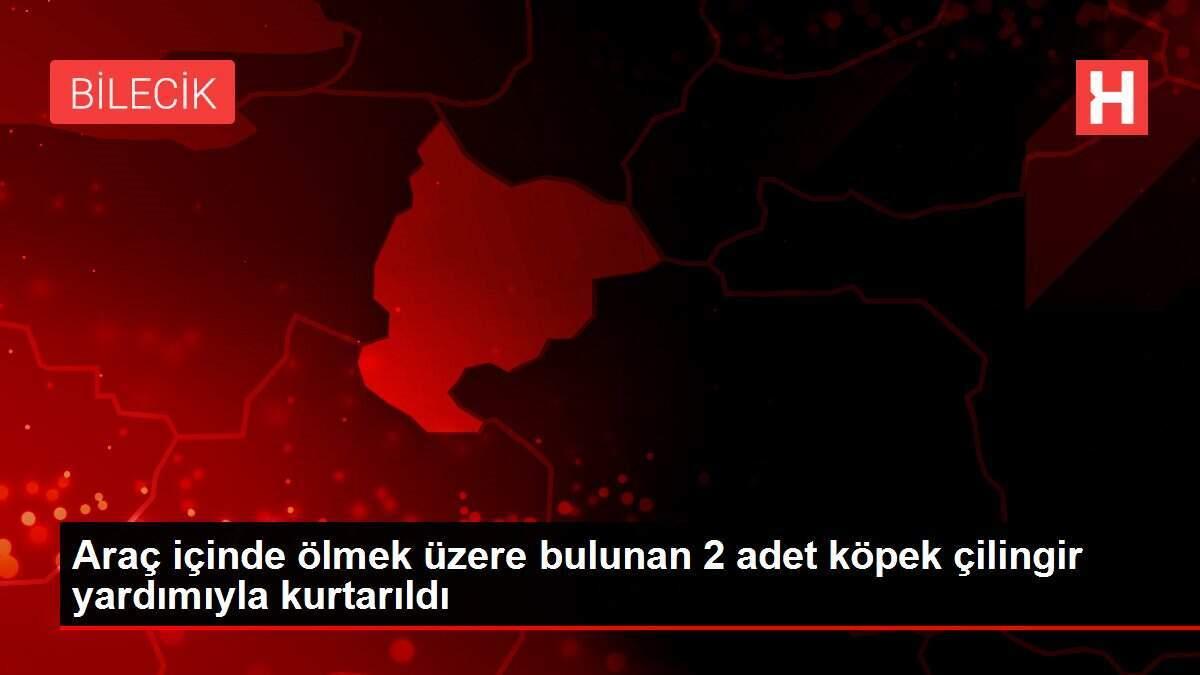 Araçta bırakılan iki köpeği polis ekipleri kurtardı