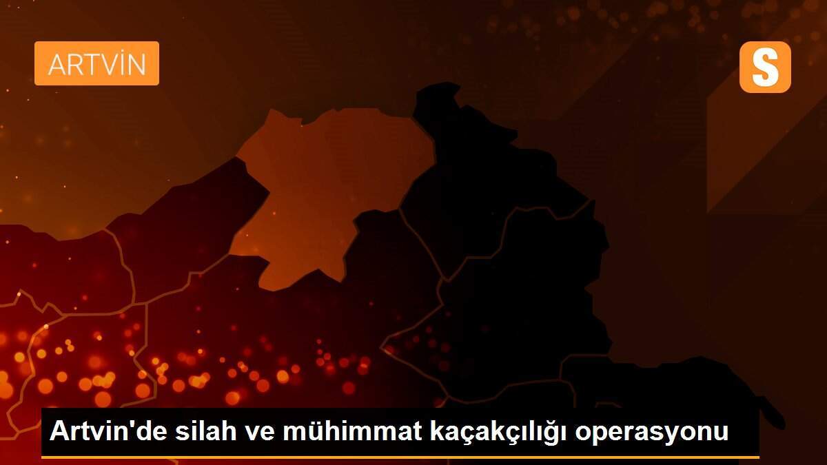 Artvin\'de silah kaçakçılığı operasyonunda 2 şüpheli tutuklandı