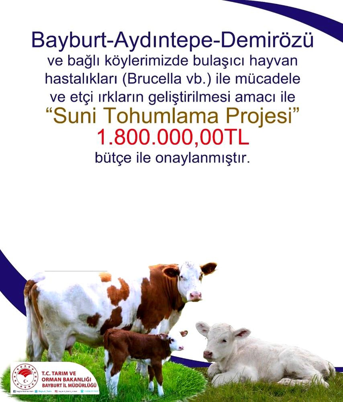 Bayburt\'ta "Suni Tohumlama Projesi" için 1 milyon 800 bin TL\'lik bütçe onaylandı