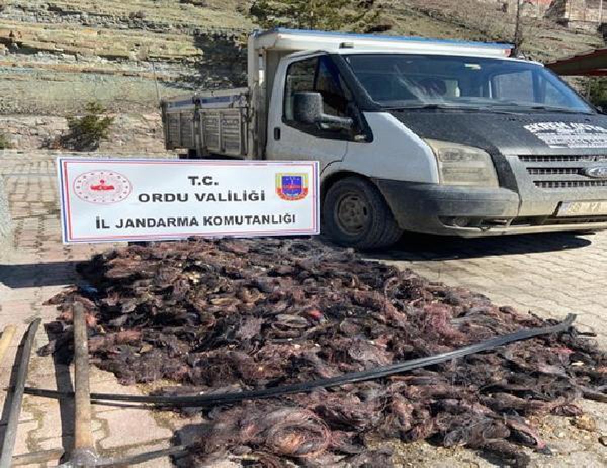 Enerji nakil kablosu hırsızlığına 3 tutuklama