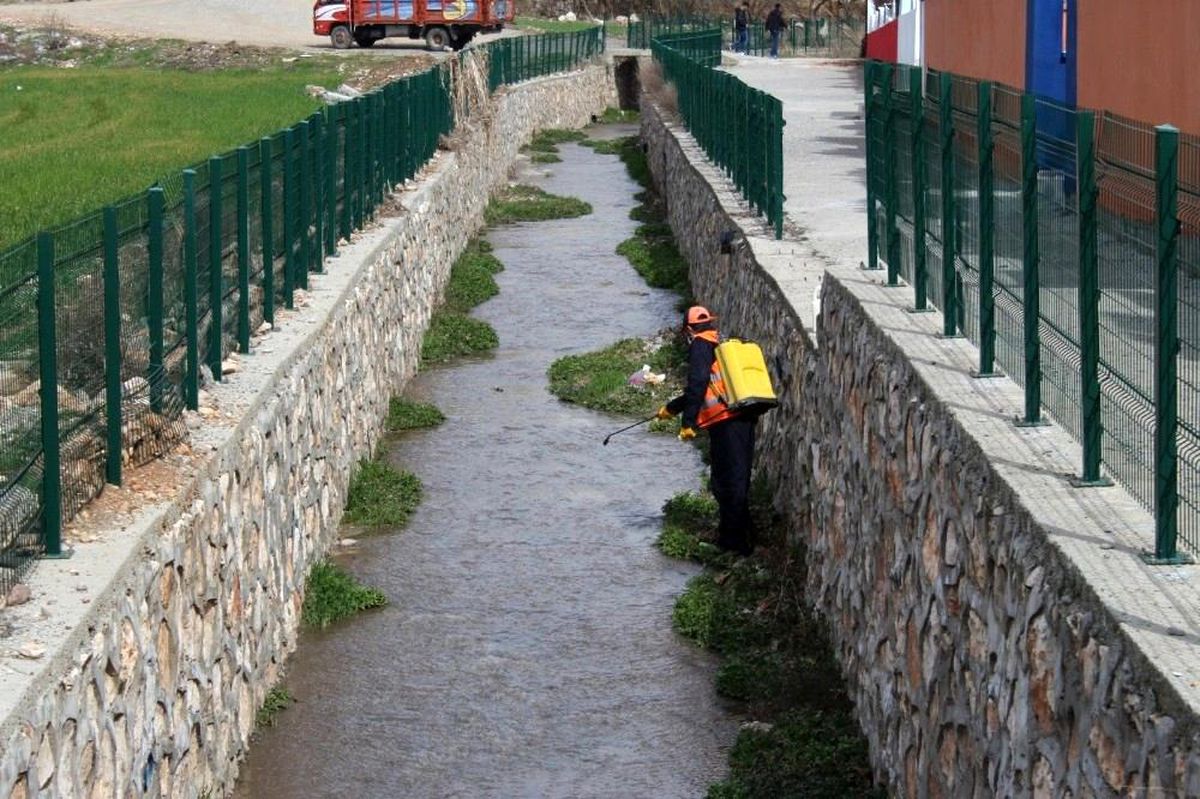 Kahta Belediyesi larva üreme noktalarını ilaçlıyor
