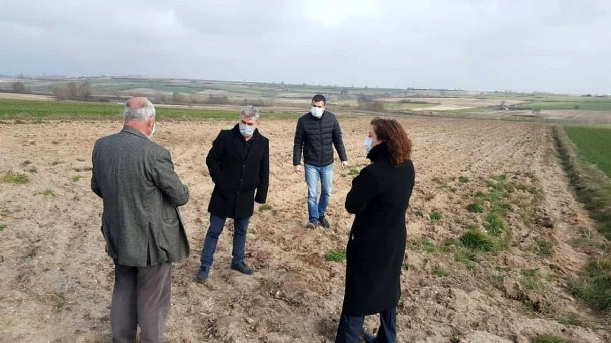 Tekirdağ\'da yeni nohut çeşitleri için çalışmalar başladı