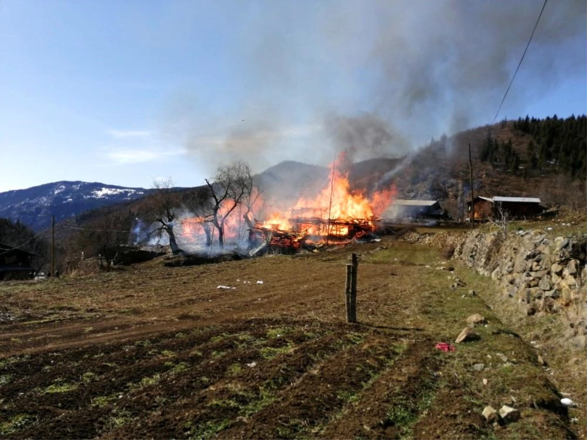 Son dakika haberleri! Artvin\'de korkutan yangın