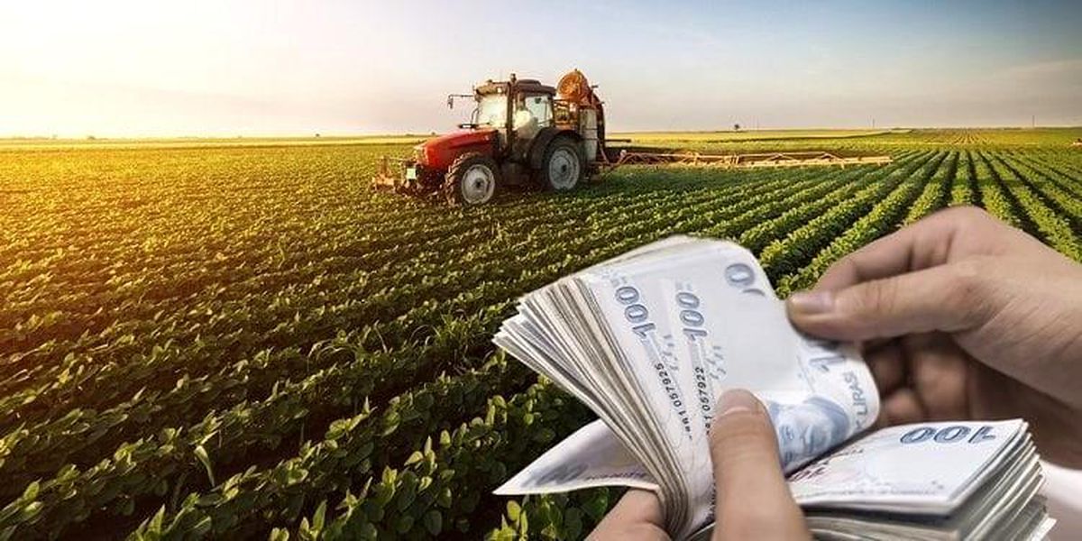 Erzincan\'da tarımsal destek ödemeleri kapsamında 1724 çiftçiye 4 milyon 929 bin 700 TL ödendi