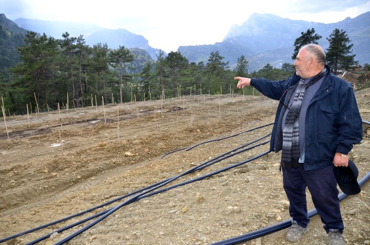 Herkes köyden kente giderken o Almanya\'dan köyüne döndü
