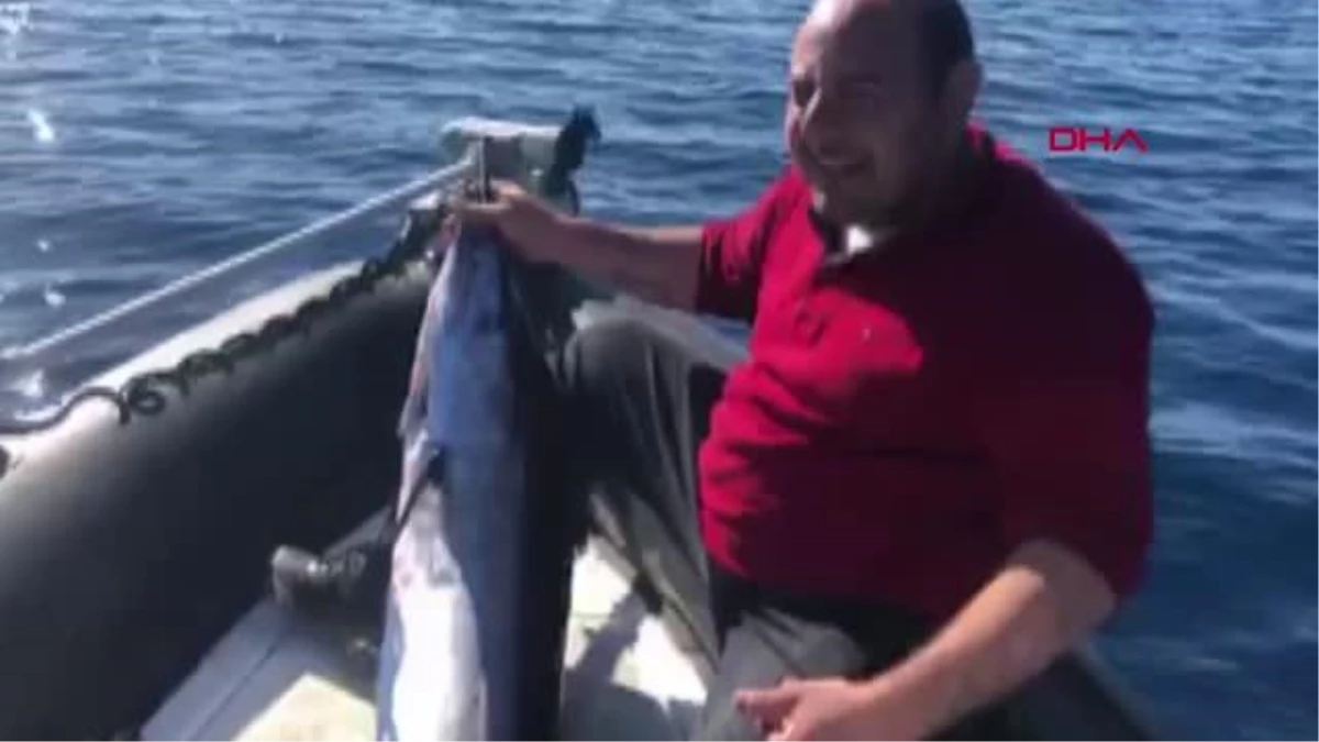 KKTC\'de yakalanan 40 kiloluk dev kılıç balığı görenleri şaşırttı