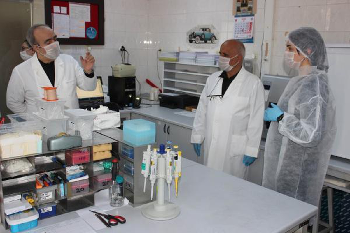Profesörden \'yerli aşı\' açıklaması: İnsan üzerinde faz çalışmasına geçilecek