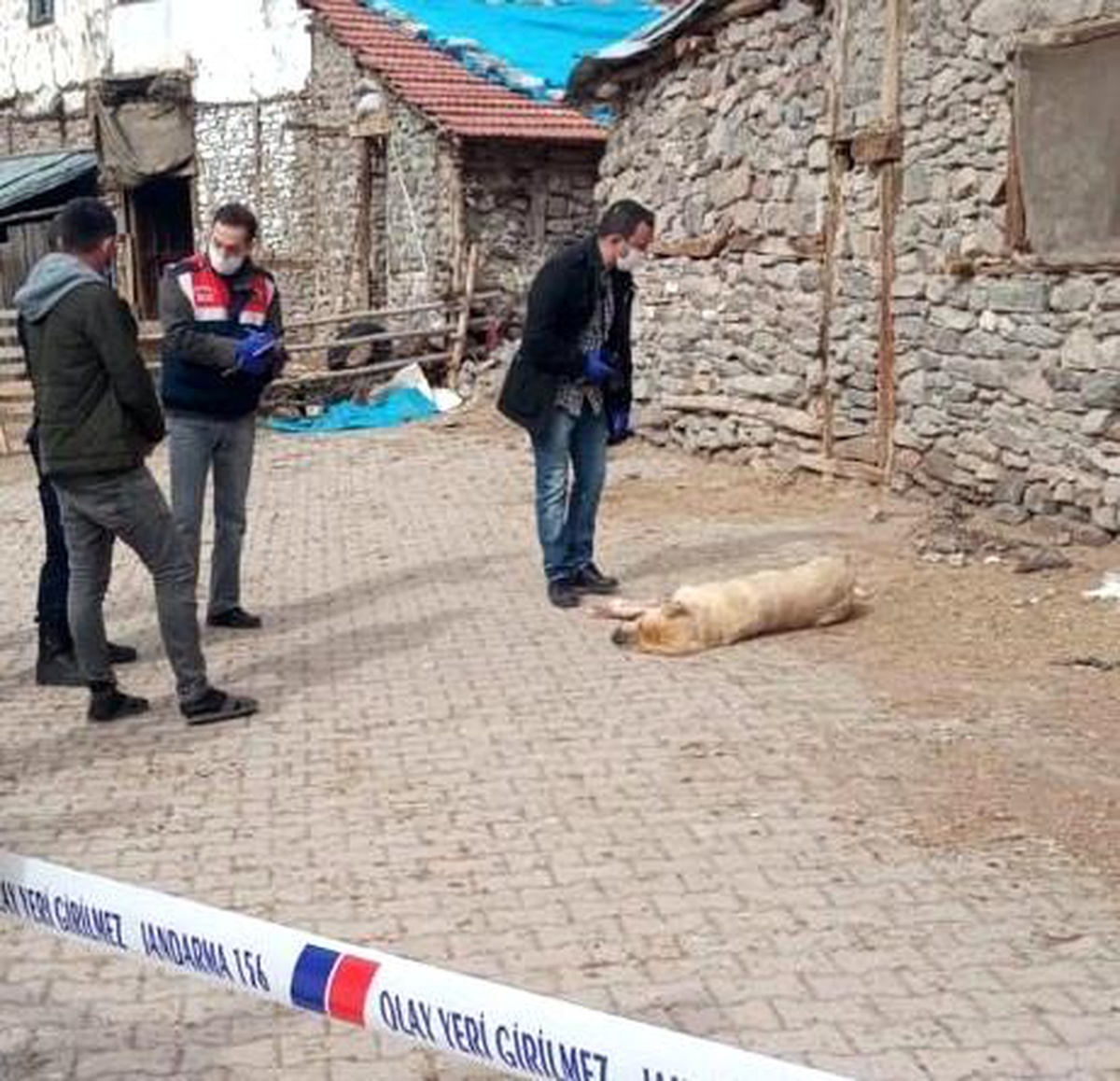 Sokak ortasında vurulan köpek otopsiye gönderildi