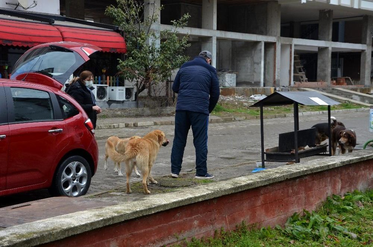 Ordulu çift sokak hayvanlarına duyarsız kalmadı