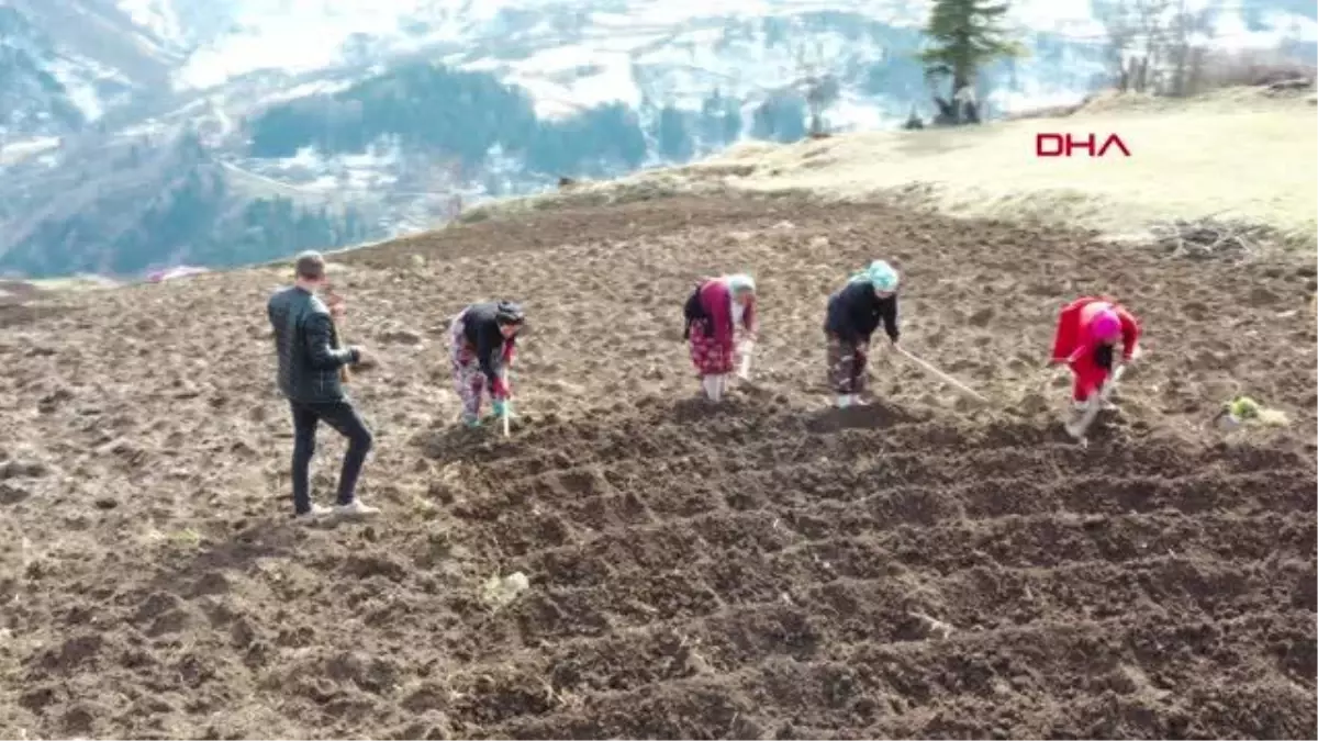 TRABZON Karadeniz\'in çalışkan kadınları, pandemide de tempo düşürmüyor