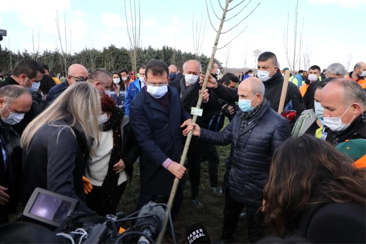 Başkan Akgün, 8 Mart Hatıra Ormanı\'na ağaç dikti