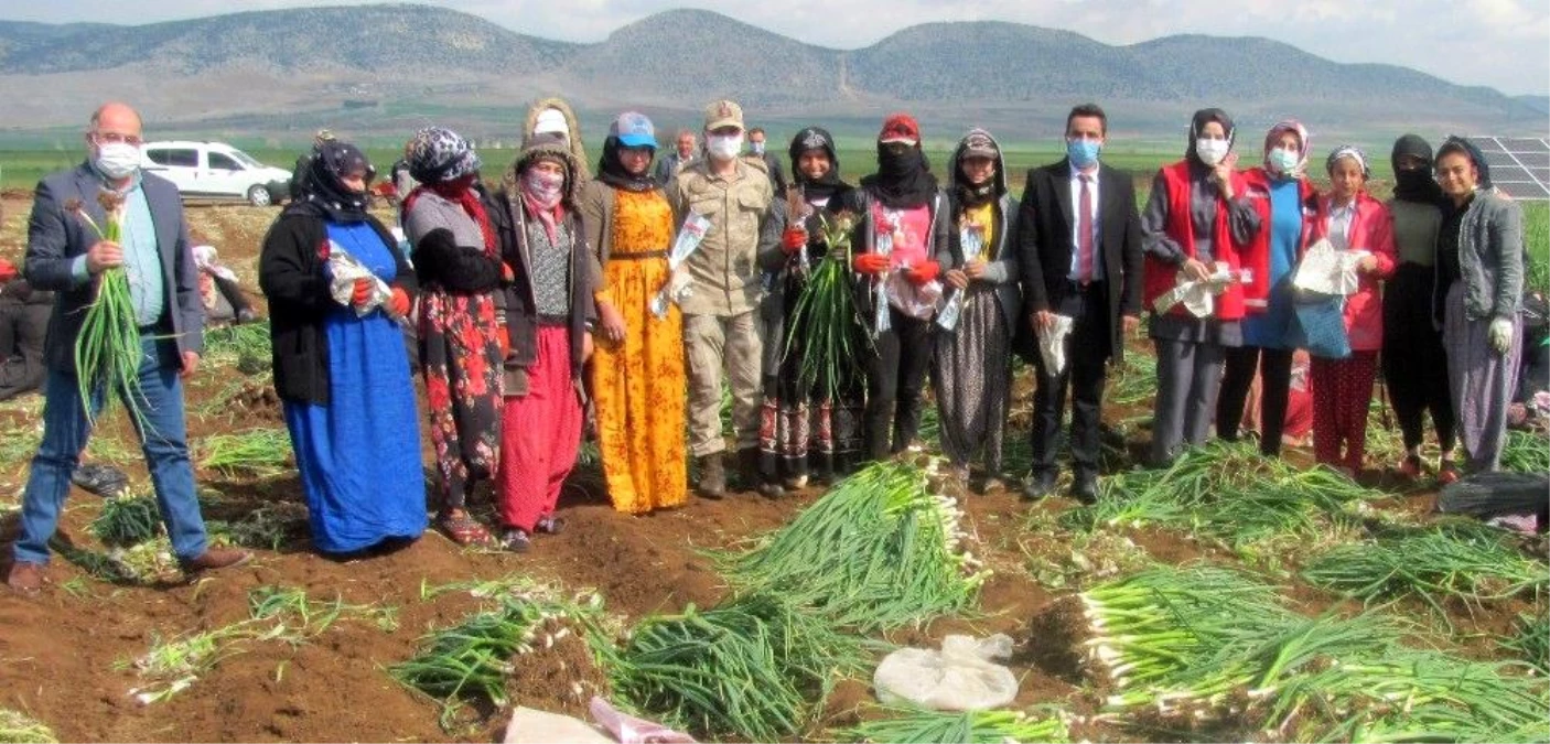 Gaziantep\'te 8 Mart Dünya Kadınlar Günü kutlamaları