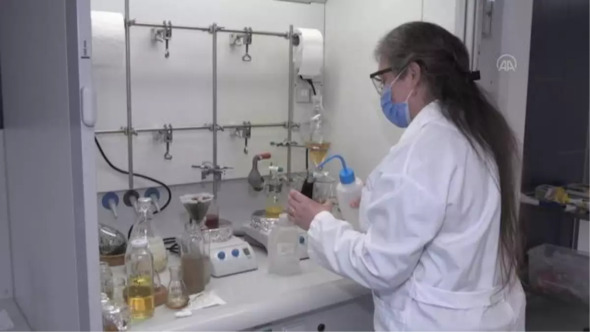 Kadın bilim insanlarının çalışmalarını öne çıkarmak için onların yayınlarından kitap hazırladı