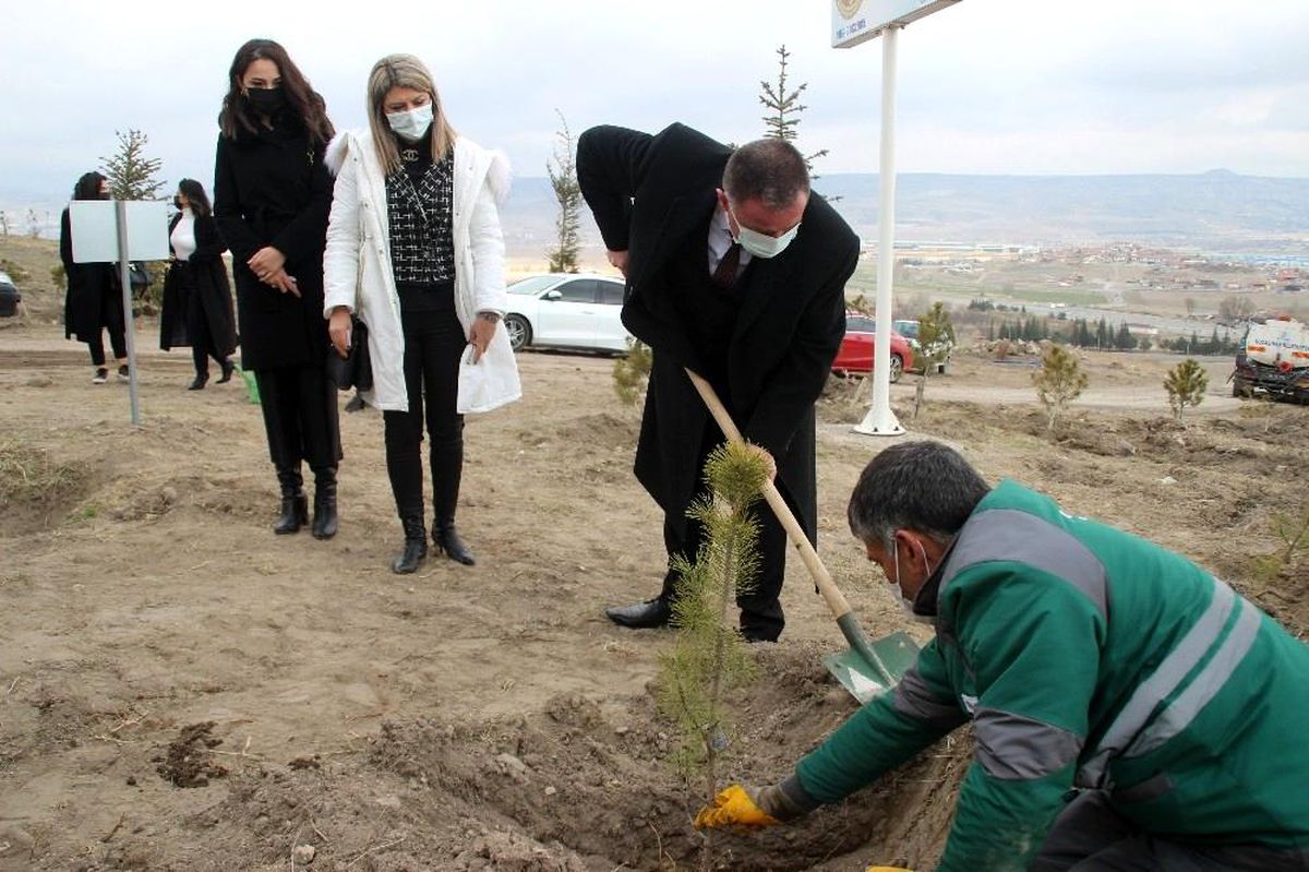 Kayseri Barosu Kadınlar Günü\'nde ağaç dikti