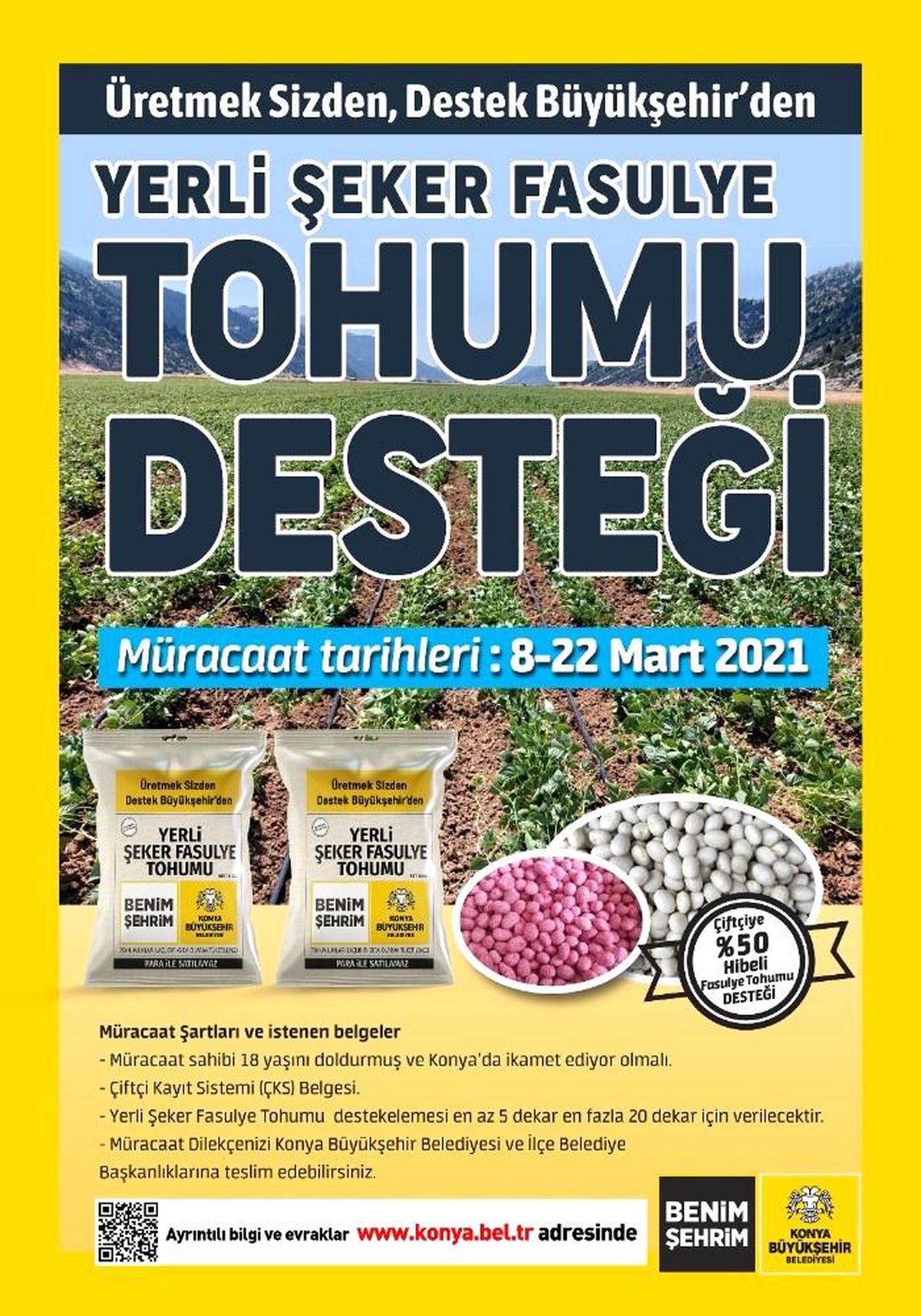 Konya Büyükşehir\'den üreticiye yerli şeker fasulye tohumu desteği