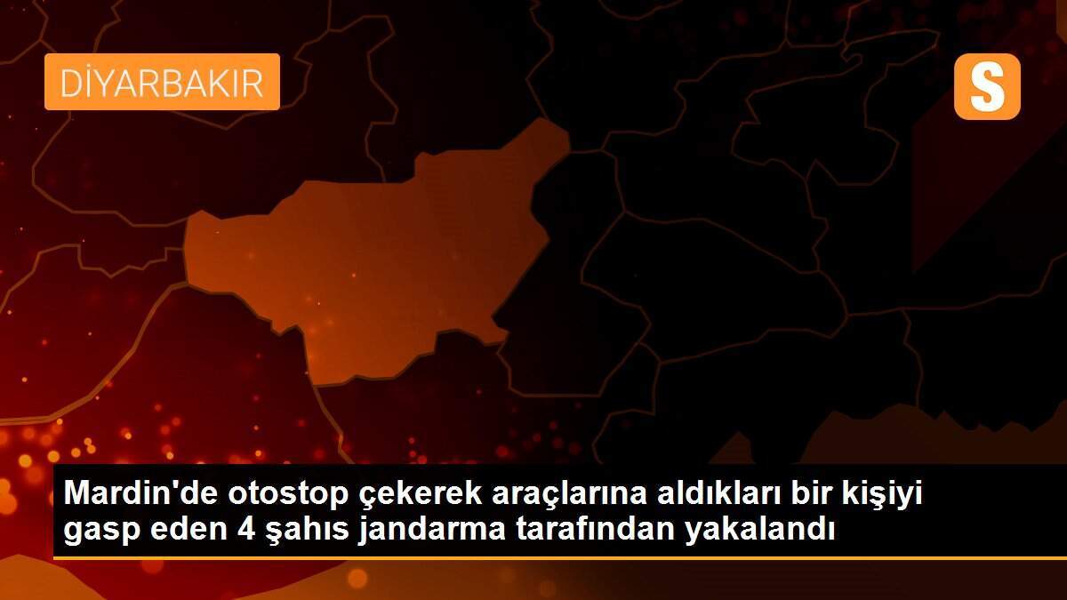 Mardin\'de otostop çekerek araçlarına aldıkları bir kişiyi gasp eden 4 şahıs jandarma tarafından yakalandı