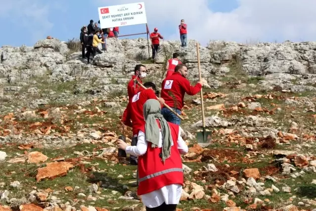 Son Dakika Haberleri Suriye De Sehit Olan Kizilay Gorevlisi Anisina Hatira Ormani Kuruldu Son Dakika