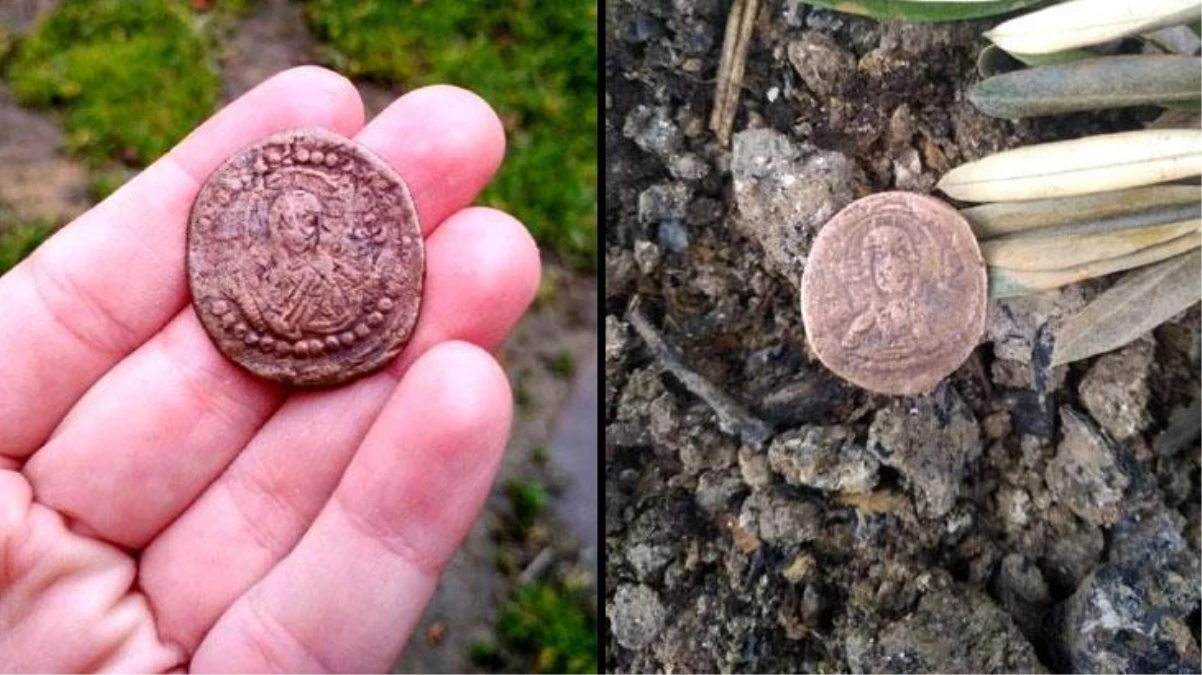 Ağaç sularken Bizans dönemine ait 1500 yıllık para buldu