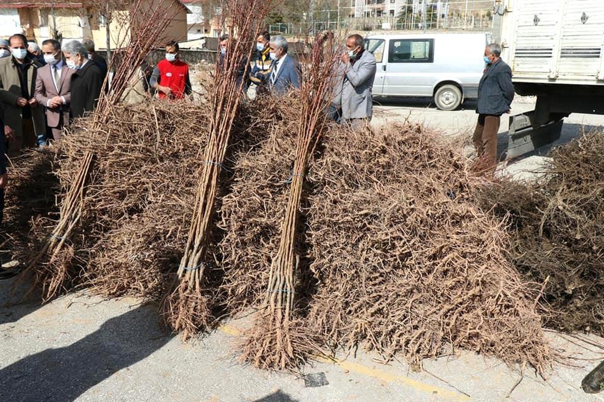 Elazığ\'da "Meyveciliği Geliştirme" projesi, 13 bin fidan dağıtıldı