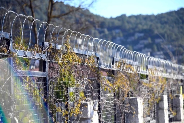 Son dakika... Fethiye Belediyesi'nden Hayvan severleri sevindirecek karar