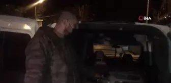 Hasta köpek tedavi için İstanbul'a gönderildi