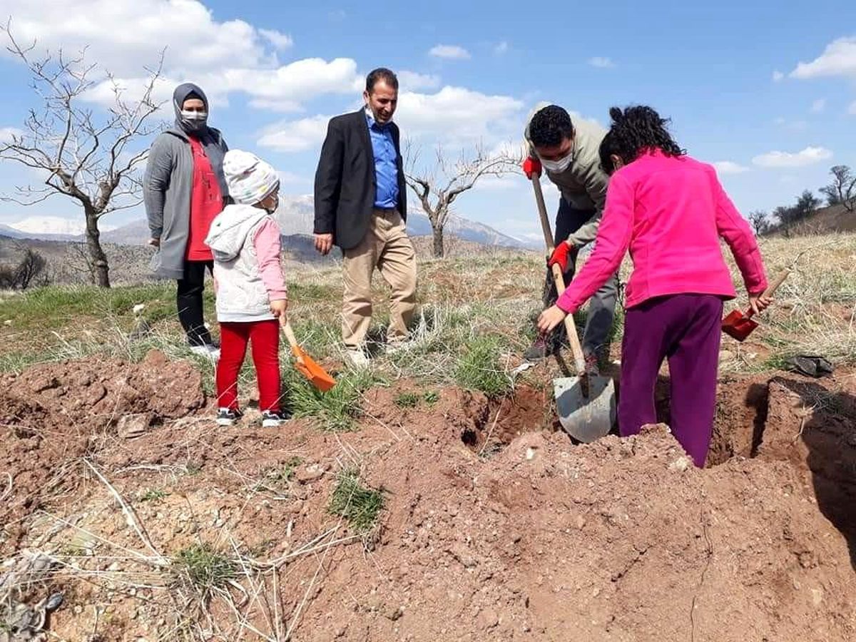 Köylüler kendi imkanlarıyla ağaç dikti