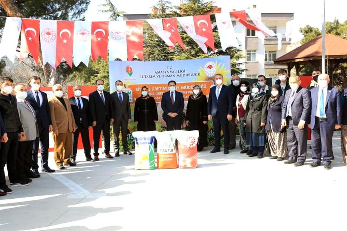Kuraklığın etkili olduğu Amasya\'da çiftçilere ayçiçeği tohumu desteği