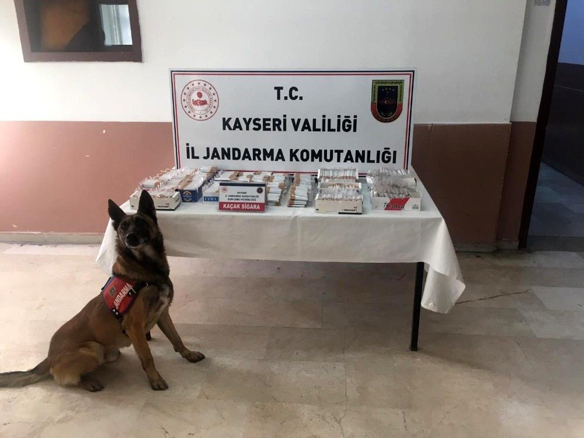 Son dakika: Kayseri\'de jandarma "Narkotik ve huzurlu sokaklar uygulaması" yaptı