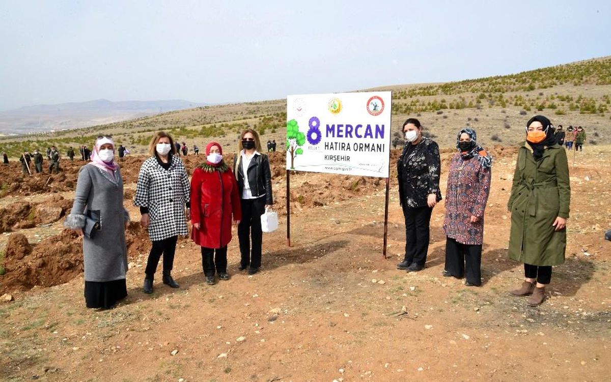 Kırşehir\'de, Mercan Ormanı oluşturuldu