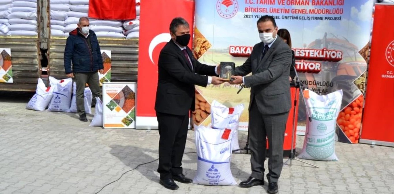 200 ton sertifikalı yerli mercimek tohumu çiftçilere dağıtıldı