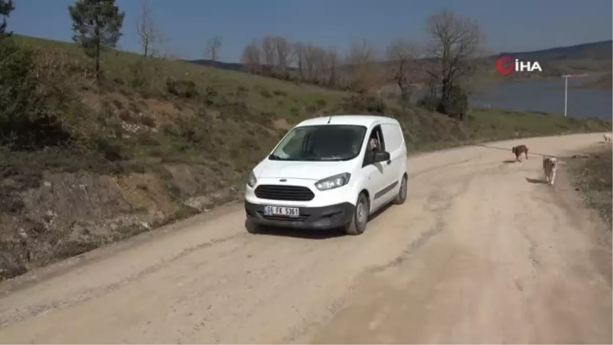 Öğretmen maaşını ve zamanını 300 dilsiz canın bakımına adadı