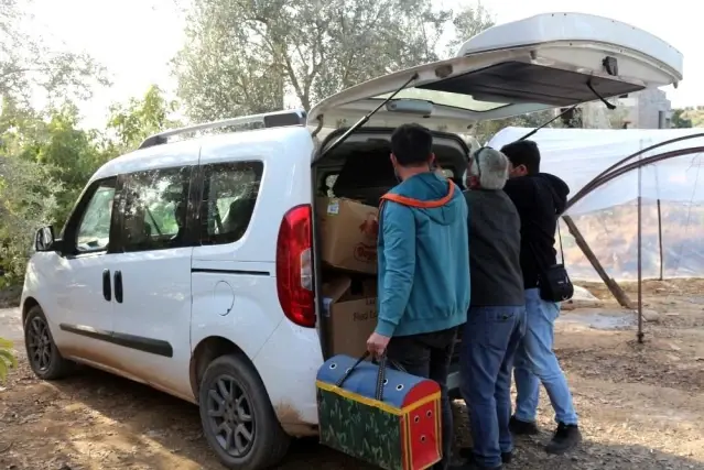 Son dakika haberleri | Antalya'da horoz dövüşü baskını: 22 gözaltı