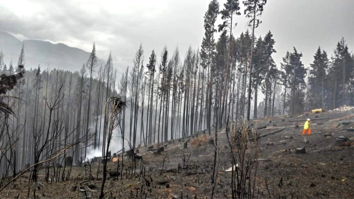 Arjantin\'de orman yangınları günlerdir devam ediyor