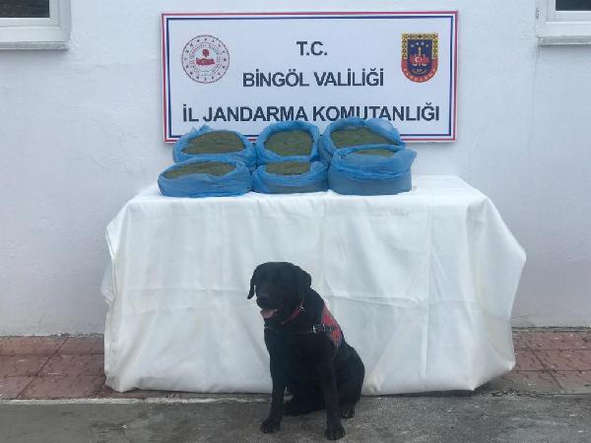 Bingöl\'de 58 kilo esrar ele geçirildi; 22 gözaltı
