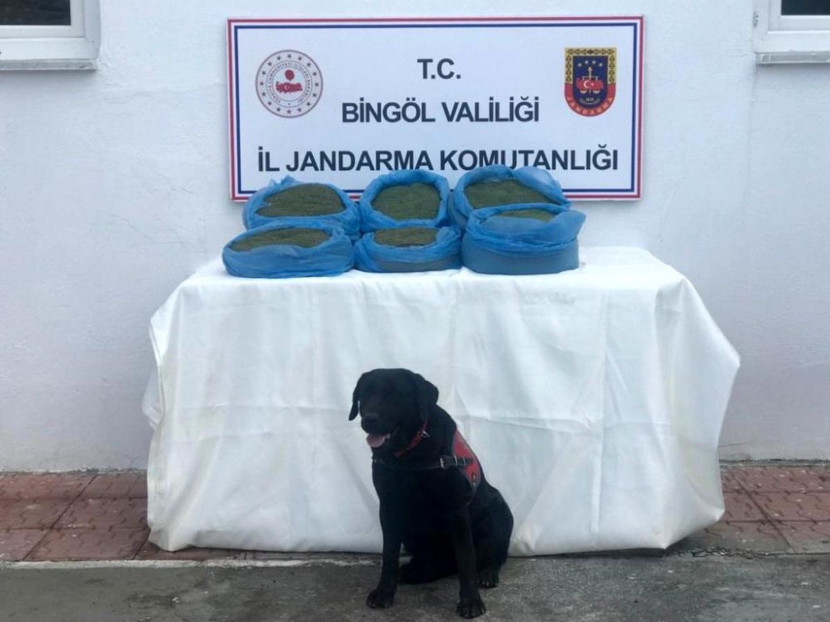 Bingöl\'de 58 kilo uyuşturucu ele geçirildi, 22 şüpheli hakkında işlem yapıldı