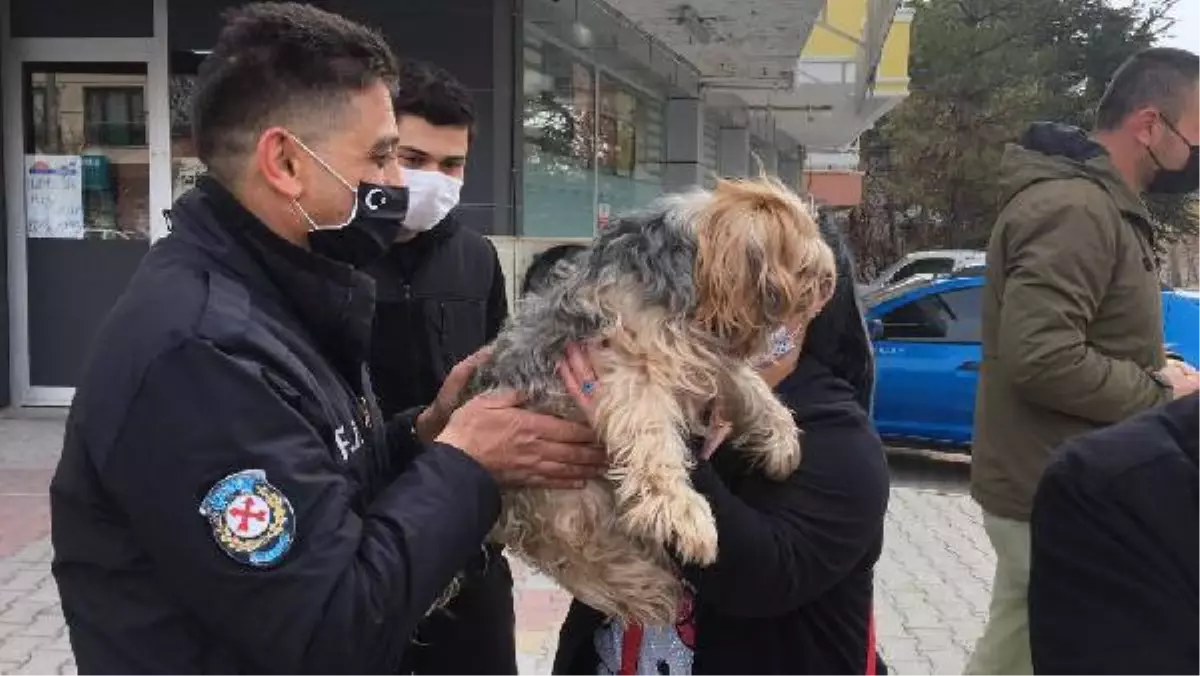 Son dakika haberleri... Çaldığı cins köpekleri satmak isterken, alıcı gibi davranan polise yakalandı