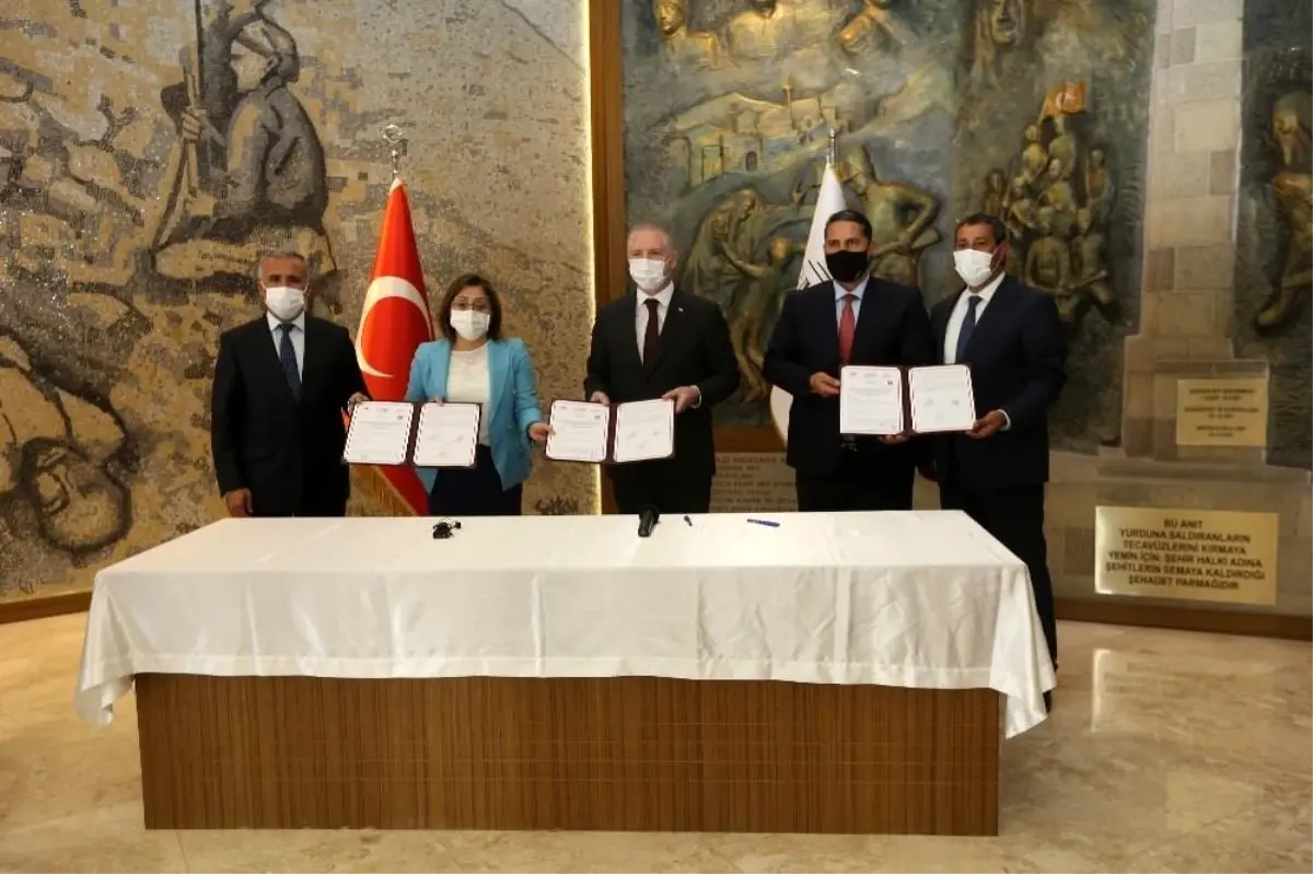 Gaziantep\'te çiftçiye 6 milyon 500 bin adet sertifikalı fide dağıtalacak