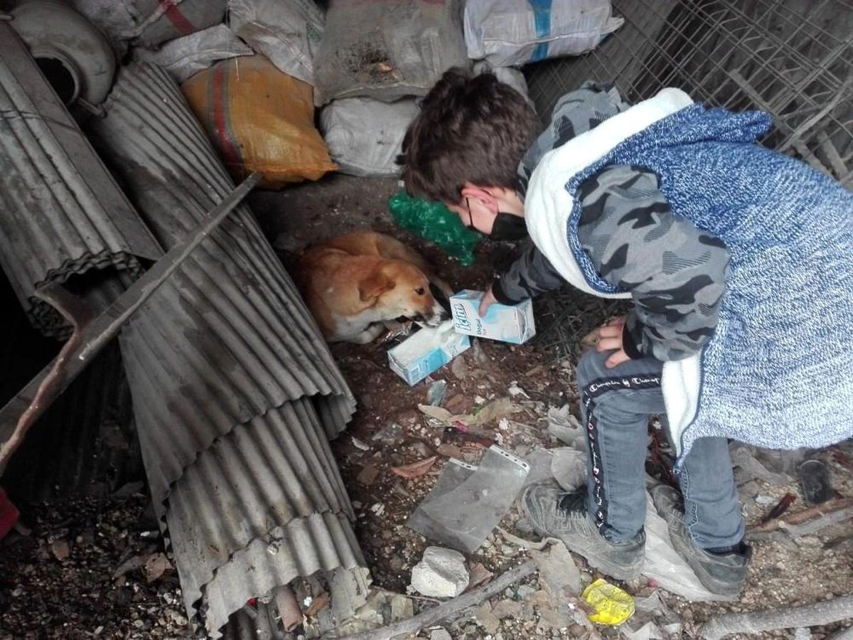 Minik kalpleri, yürekleri ısıttı