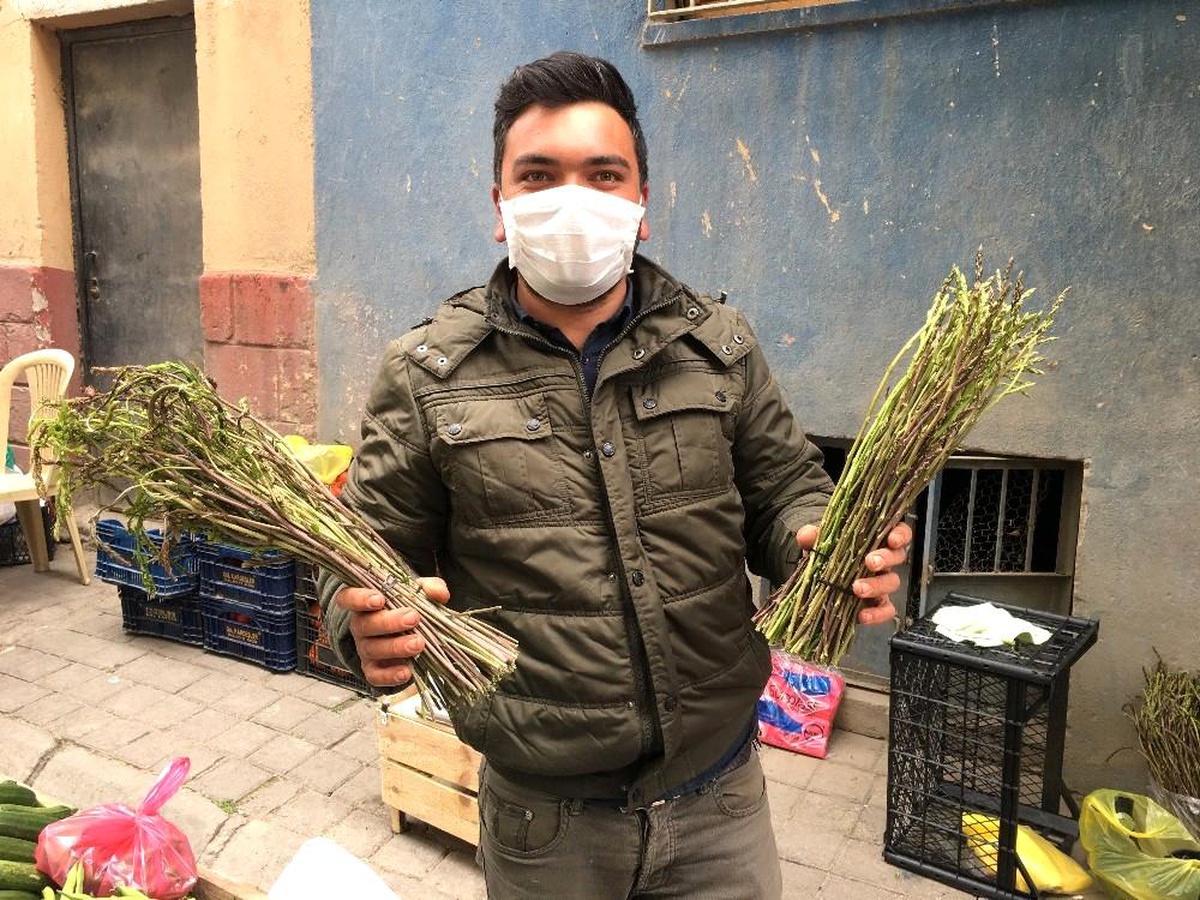 Sarmaşık ve kedirgenler pazarlardaki yerini aldı