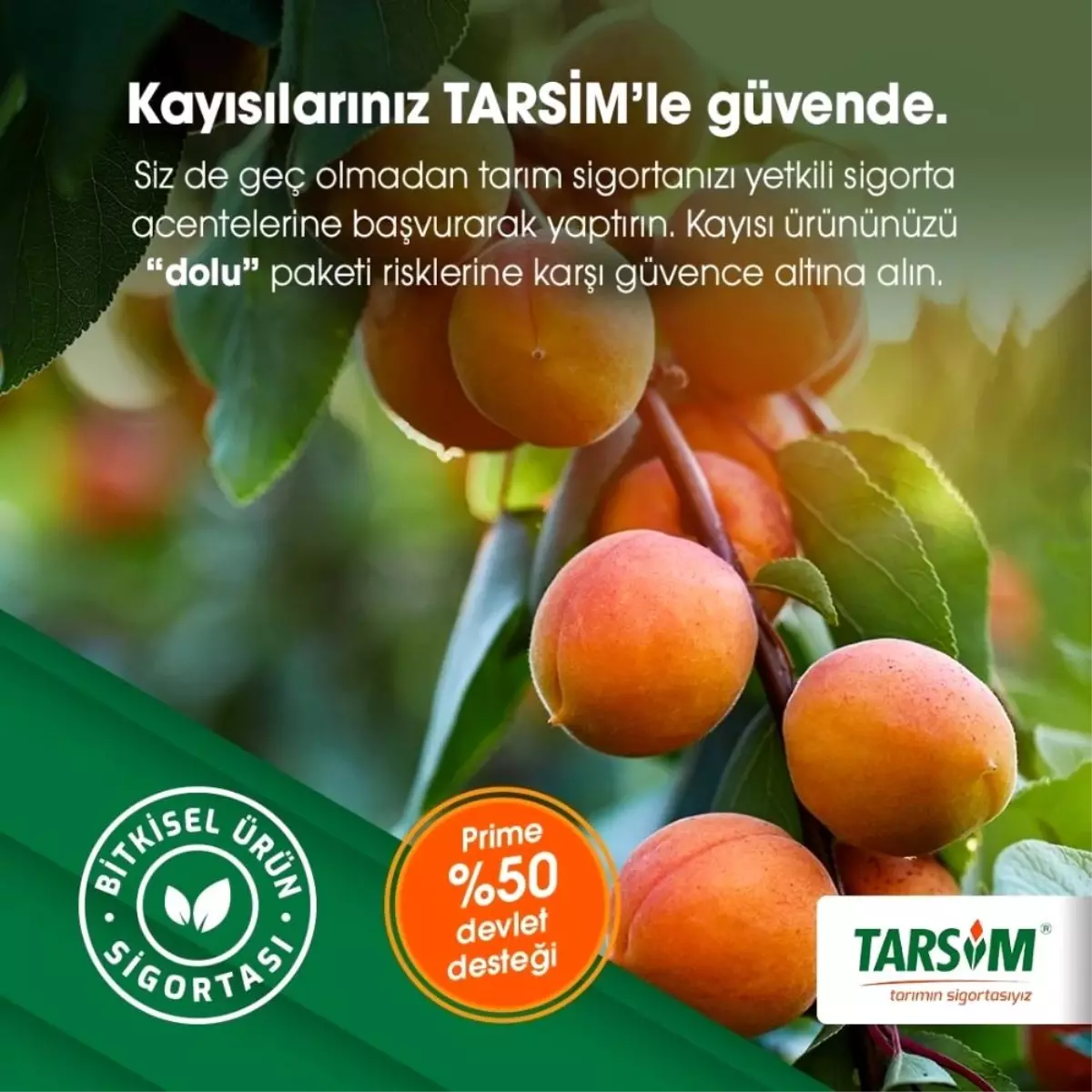 TARSİM\'den uyarı geldi