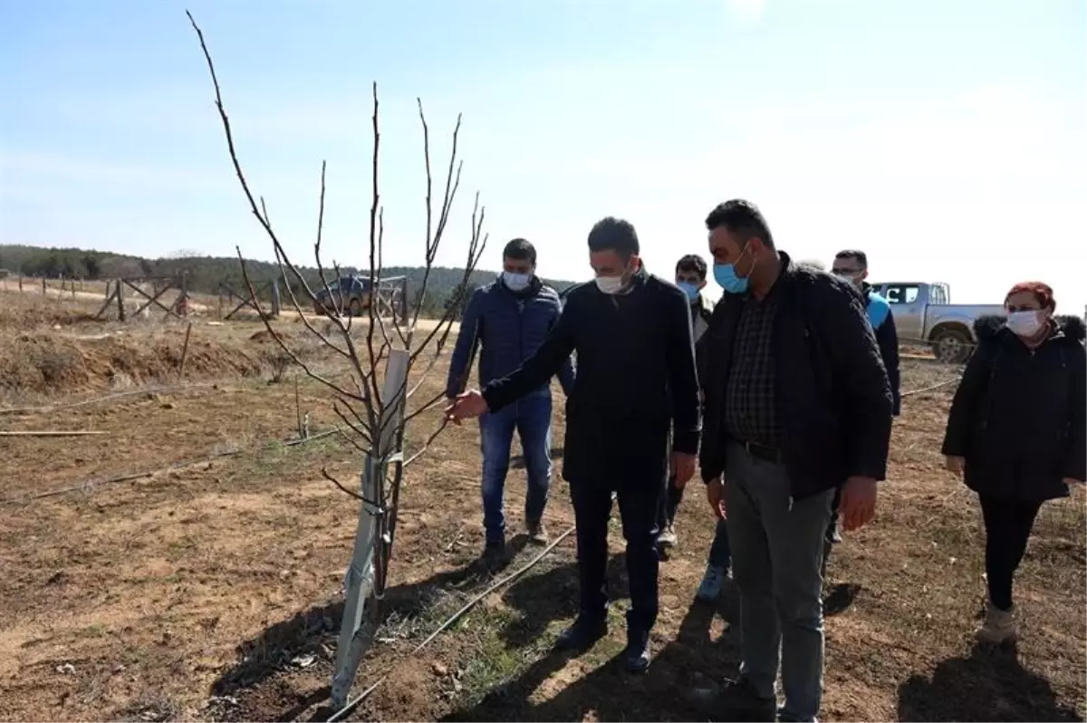 Tozman yaylalarının çehresi değişecek