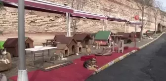 Tren istasyonunda ayağı kopan köpek sağlığına kavuştu