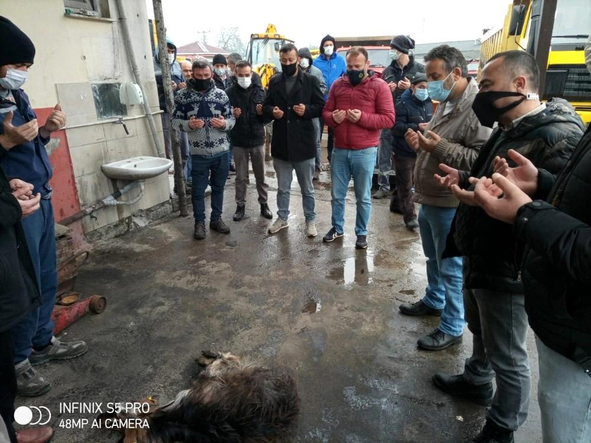 Yeni alınan araçlar için kurban kesildi