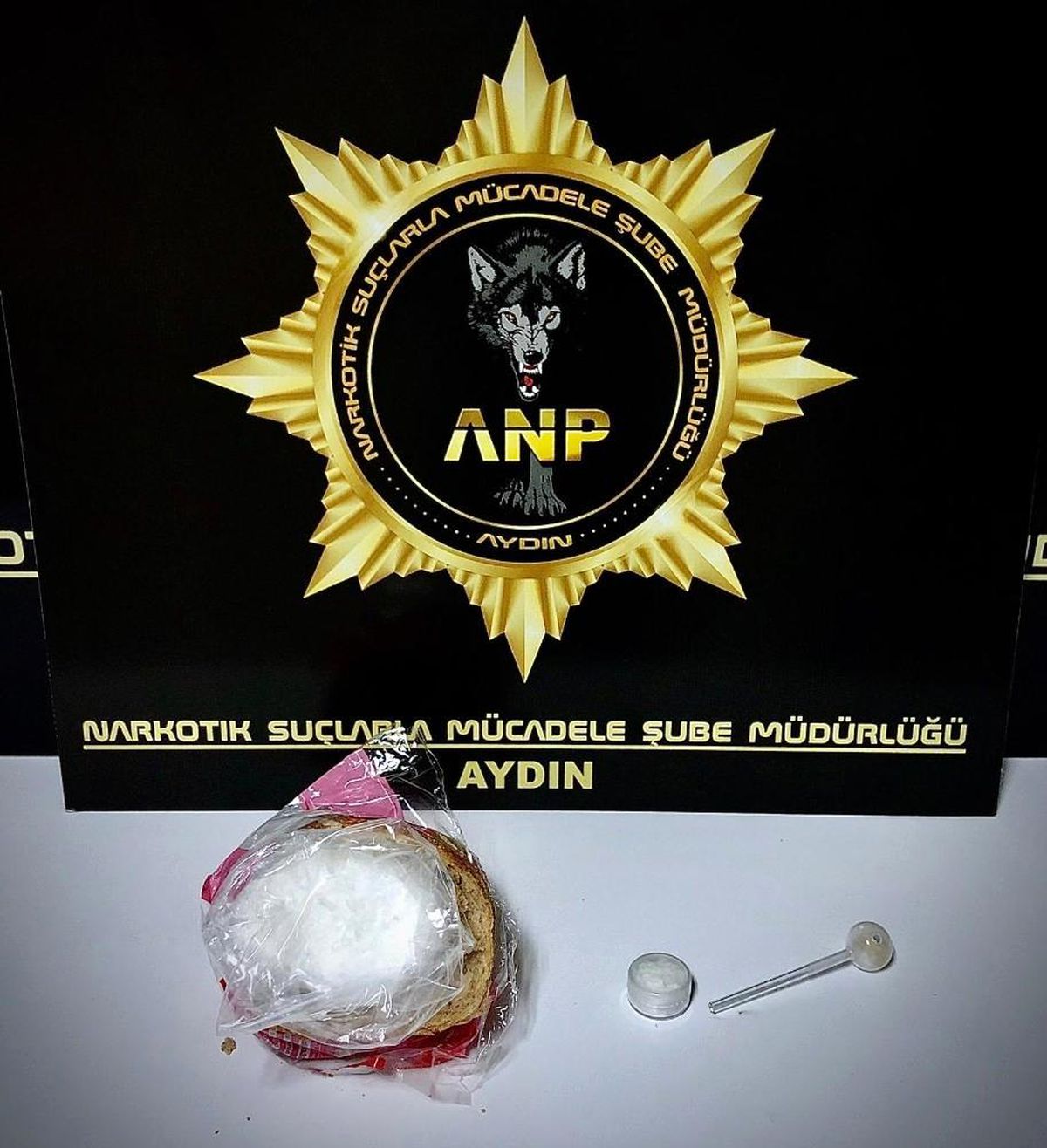 Aydın\'da 294 gram uyuşturucu ele geçirildi