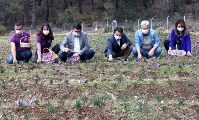 Barış Saylak; Muğla endemik bitki zengini 