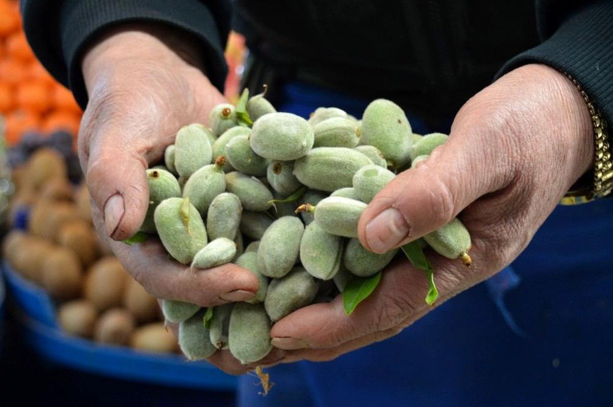 Çağla sezonu 50 TL\'den açtı