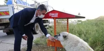 Gölbaşı Belediye Başkanı Şimşek: Köpek ölümleriyle ilgili suç duyurusunda bulunacağız