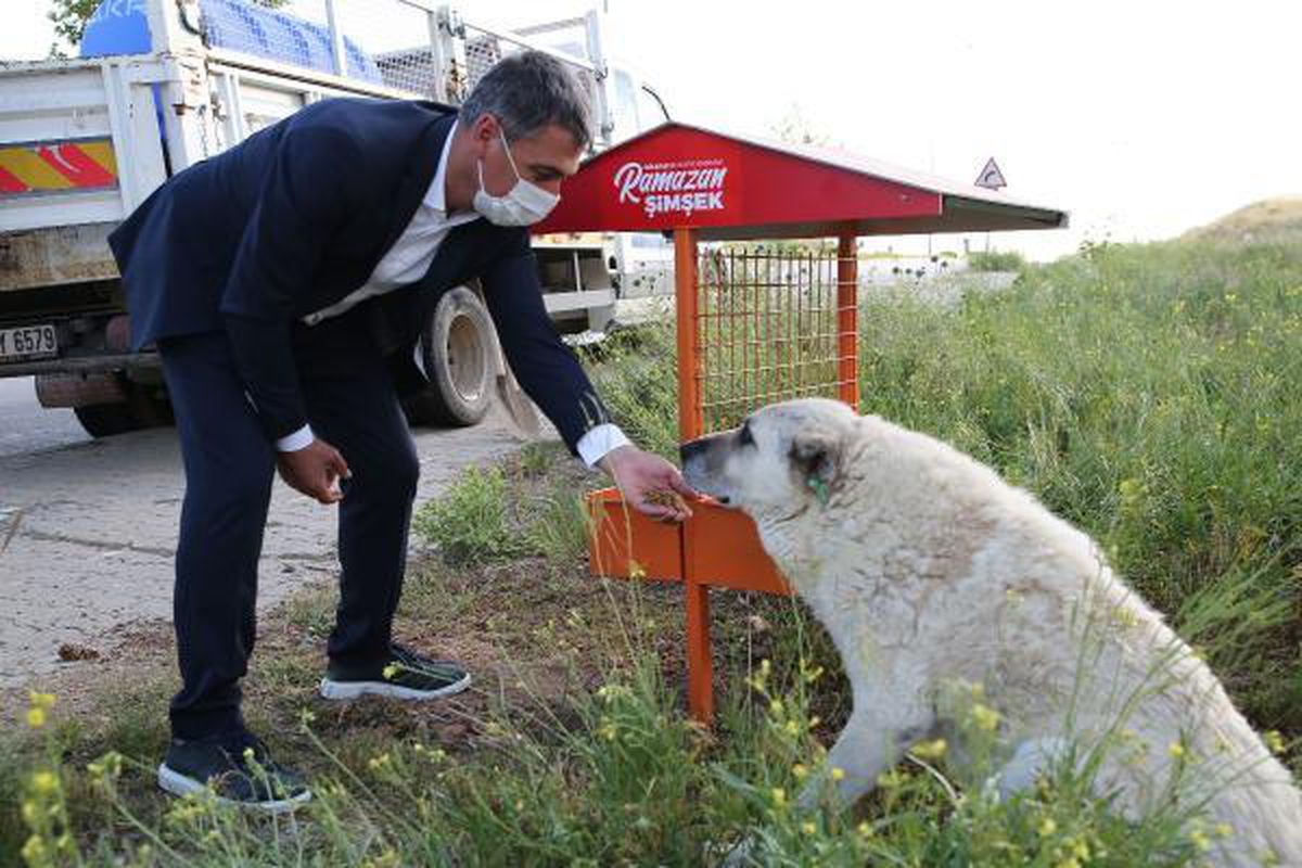 Gölbaşı Belediye Başkanı Şimşek: Köpek ölümleriyle ilgili suç duyurusunda bulunacağız